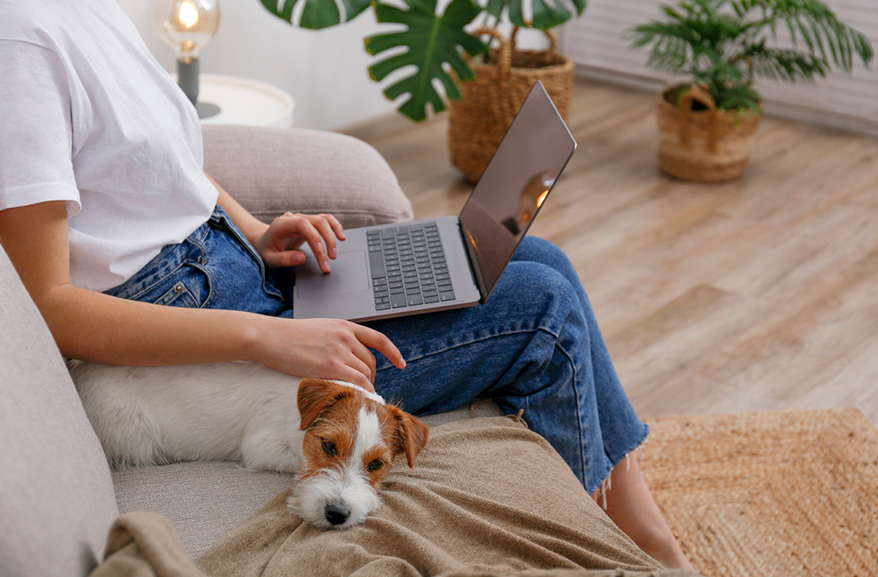 Young woman and her dog relaxing on the couch