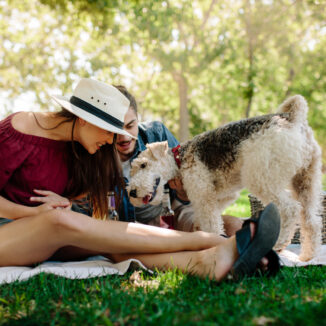 Young couple at the dog park